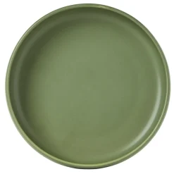 Assiette de dégustation creuse ronde verte