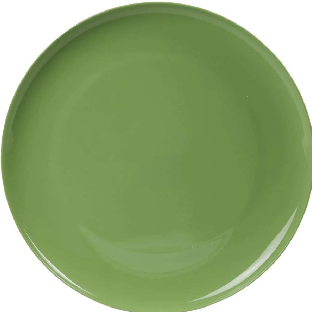 Assiette en plastique couleur unie x 4