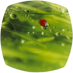 Assiette plate carrée verte design coccinelle