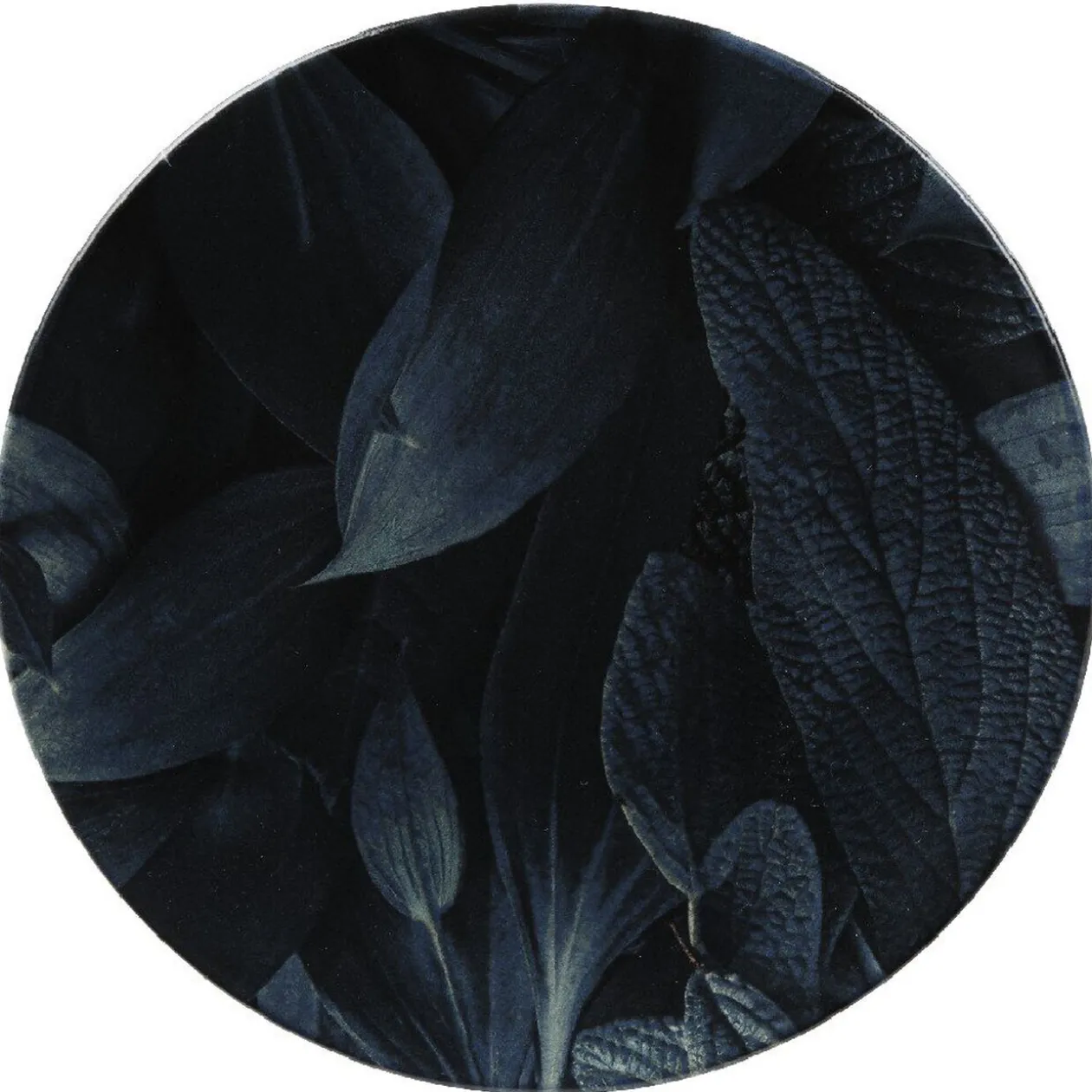 Assiette ronde plate motif feuillage vert noir