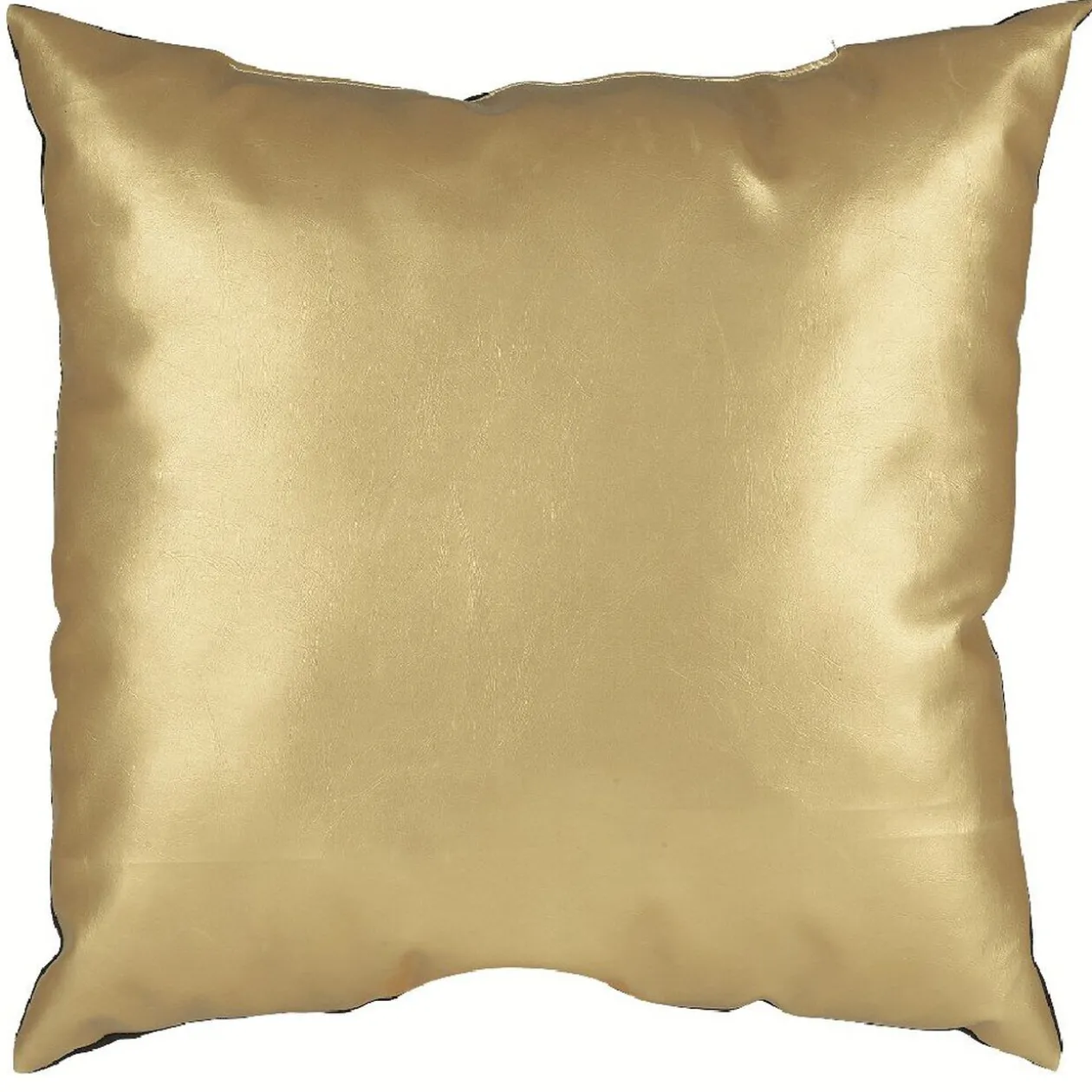 Coussin bi matiére