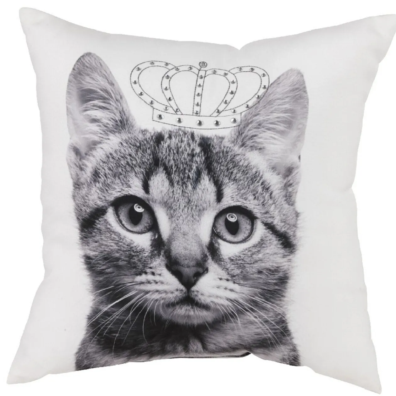 Coussin carré 40 x 40 cm chien chat