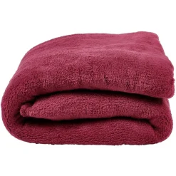 Couverture polaire 2 personnes polyester uni violine