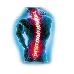 Dessus de chaise à mémoire de forme ergonomique