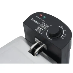Friteuse électrique Homday amovible en inox 3L