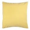 Housse de coussin velours carrée