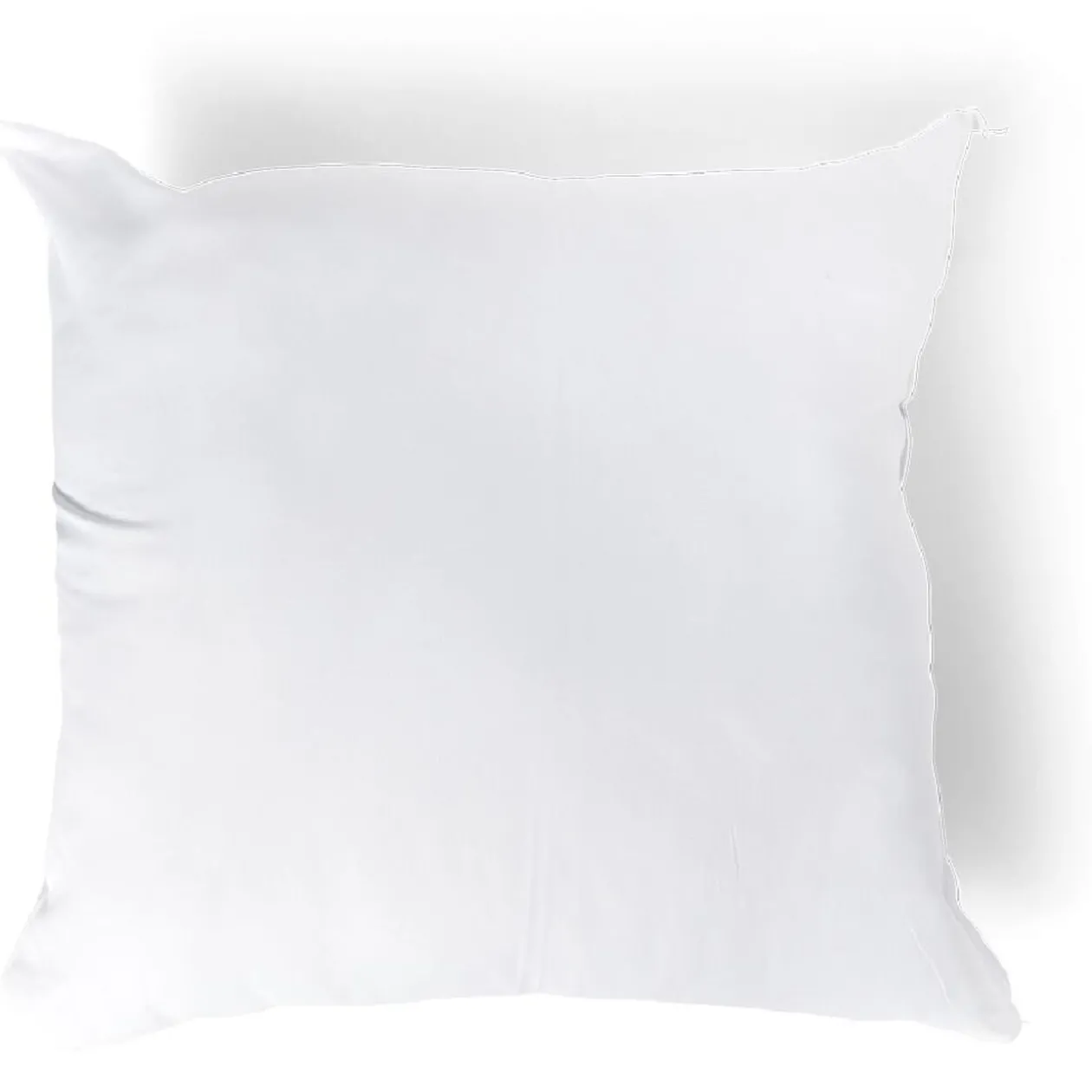Lot de 2 oreillers à bouillir 60x60cm polyester blanc
