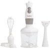 Mixeur 3 en 1 Homday