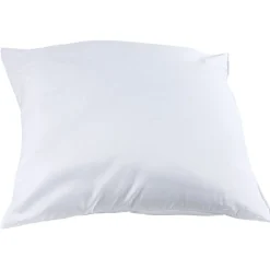 Oreiller bien être blanc 60x60 cm 3 modèles