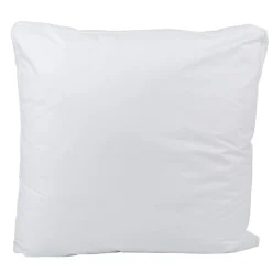 Oreiller blanc Duvet microfibres Espritzen