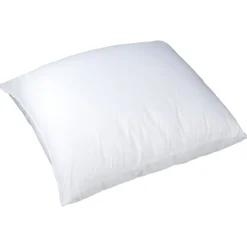 Oreiller Coolmax respirant moelleux blanc 60x60x15cm