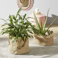 Plat cuisson rectangulaire blanc bordure bleue 1L et 2L x2