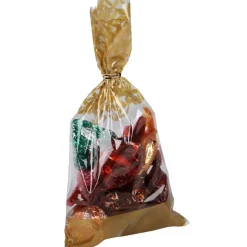 Sachet en plastique x10