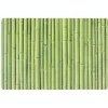 Set de table rectangulaire plastique décor bambou vert