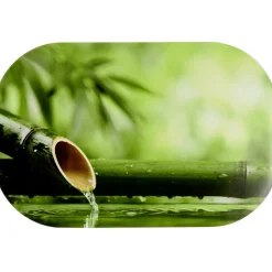 Set de table rectangulaire vynile imprimé eau tige de bambou